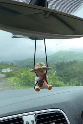 Super Cute Duck Car Mirror Hanging Accessory photo review