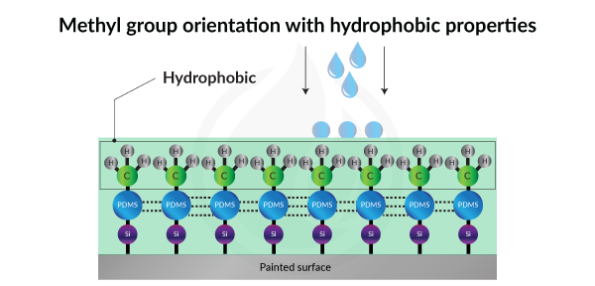 Methyl-group-orientation-with-hydrophobic-properties-