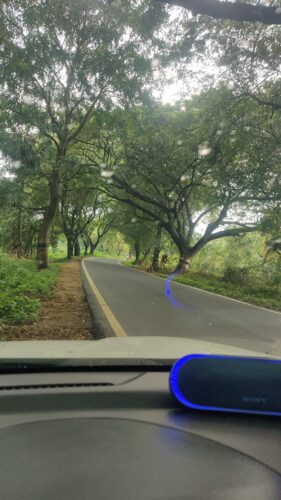 Motor Headz Glare Guard photo review