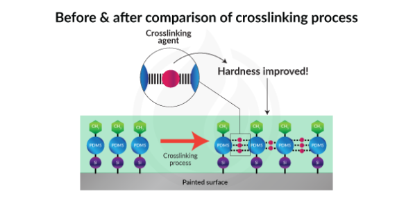Before-after-comparison-of-crosslinking-process-