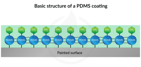 correct-version-basic-structure-of-a-pdms-coating-igl-coatings-